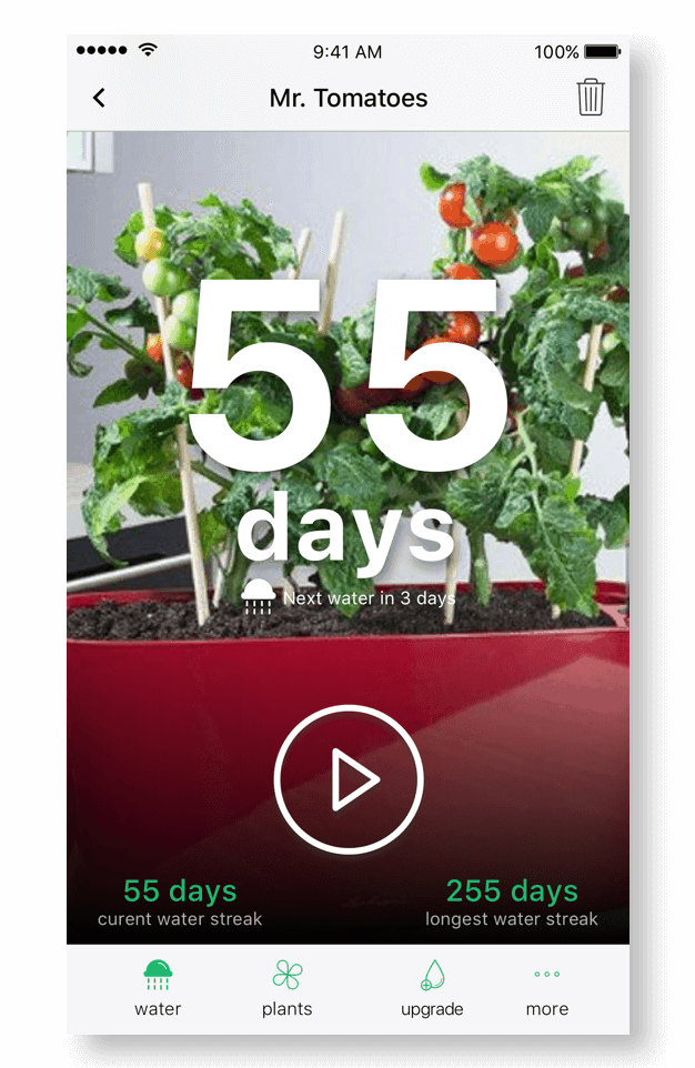 app-for-plants-happy-plant